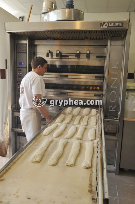 Fabrication du pain - Enfournement des baguettes pour cuisson - gryphea.com